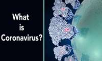 ??what is coronavirus